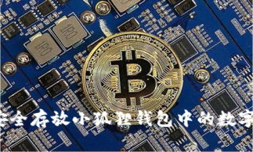 如何安全存放小狐狸钱包中的数字资产？