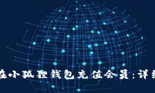 如何在小狐狸钱包充值会员：详细指南