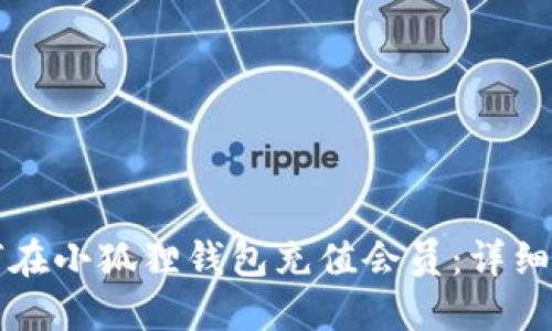 如何在小狐狸钱包充值会员：详细指南