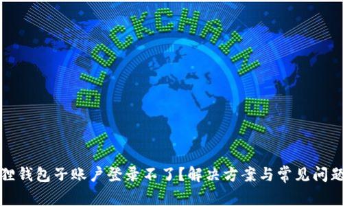 小狐狸钱包子账户登录不了？解决方案与常见问题详解