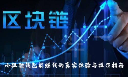 小狐狸钱包能赚钱的真实体验与操作指南