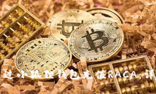 如何通过小狐狸钱包充值RACA：详尽指南