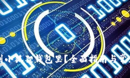 怎么转账到小狐狸钱包里？全面指南与常见问题解答