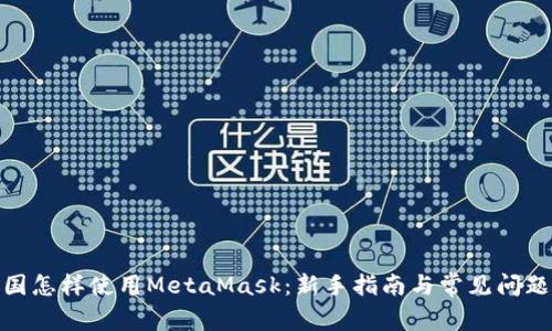 : 中国怎样使用MetaMask：新手指南与常见问题解答