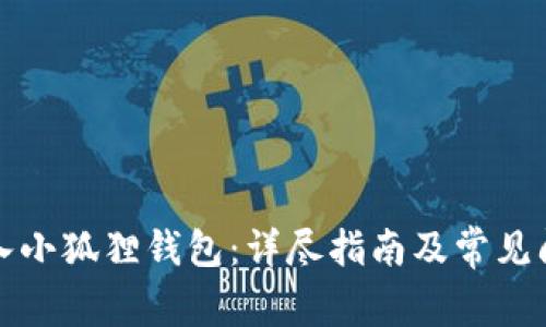如何接入小狐狸钱包：详尽指南及常见问题解答