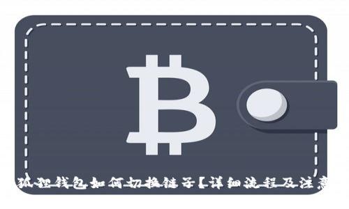 : 小狐狸钱包如何切换链子？详细流程及注意事项