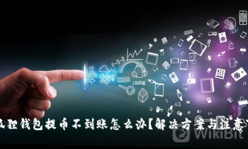 小狐狸钱包提币不到账怎么办？解决方案与注意事项