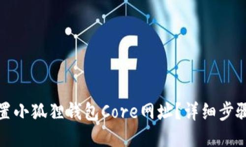 如何设置小狐狸钱包Core网址？详细步骤与技巧
