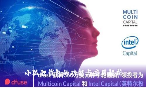 小狐狸钱包的功能与应用解析