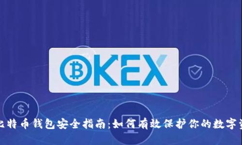 : 比特币钱包安全指南：如何有效保护你的数字资产