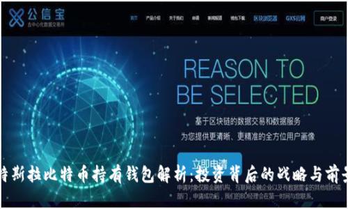 特斯拉比特币持有钱包解析：投资背后的战略与前景