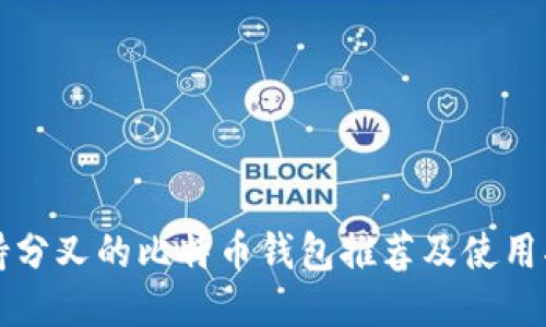 支持分叉的比特币钱包推荐及使用指南