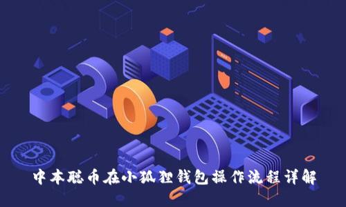 中本聪币在小狐狸钱包操作流程详解