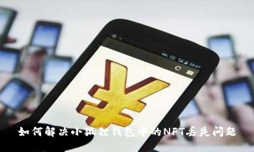 如何解决小狐狸钱包中的NFT丢失问题