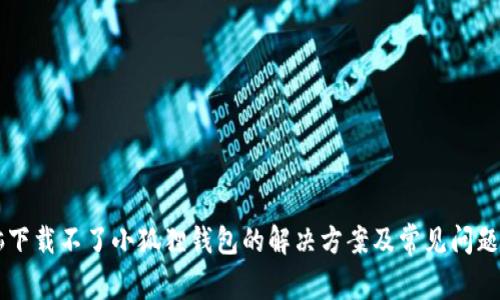 电脑下载不了小狐狸钱包的解决方案及常见问题分析