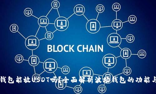 波场钱包能放USDT吗？全面解析波场钱包的功能与应用