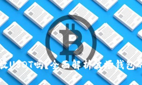 波场钱包能放USDT吗？全面解析波场钱包的功能与应用