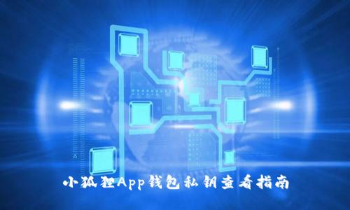 小狐狸App钱包私钥查看指南