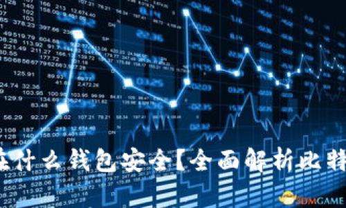  比特币存放在什么钱包安全？全面解析比特币钱包安全性