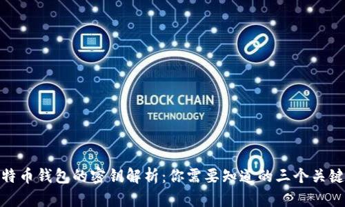 : 比特币钱包的密钥解析：你需要知道的三个关键密钥