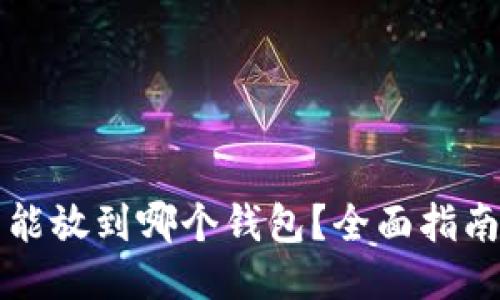 狗狗币能放到哪个钱包？全面指南与推荐